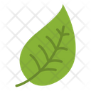 پیش‌نمایش فایل leaf-1756342 از پک اکولوژی