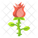 پیش‌نمایش فایل rose-3255295 از پک عشق