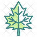 پیش‌نمایش فایل maple-leaf-3388898 از پک پاییز