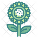 پیش‌نمایش فایل sunflower-3388906 از پک پاییز