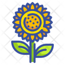پیش‌نمایش فایل sunflower-3388828 از پک پاییز