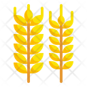 پیش‌نمایش فایل barley-3388848 از پک پاییز