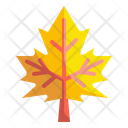 پیش‌نمایش فایل maple-leaf-3388860 از پک پاییز