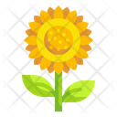 پیش‌نمایش فایل sunflower-3388838 از پک پاییز
