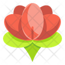 پیش‌نمایش فایل lotus-3495178 از پک زیبایی و آرایشی
