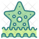 پیش‌نمایش فایل starfish-3501024 از پک ساحل