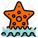 پیش‌نمایش فایل starfish-3500906 از پک ساحل