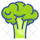 پیش‌نمایش فایل broccoli-3521139 از پک میوه ها و سبزیجات