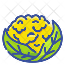 پیش‌نمایش فایل cauliflower-3521141 از پک میوه ها و سبزیجات