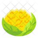 پیش‌نمایش فایل cauliflower-3521190 از پک میوه ها و سبزیجات