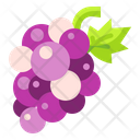 پیش‌نمایش فایل grapes-3521167 از پک میوه ها و سبزیجات
