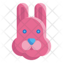 پیش‌نمایش فایل rabbit-3528618 از پک فصل بهار