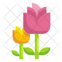 پیش‌نمایش فایل tulip-flower-3528624 از پک فصل بهار