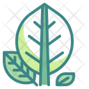 پیش‌نمایش فایل leaf-leave-tree-plant-nature-spring-season-3528674 از پک فصل بهار