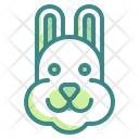 پیش‌نمایش فایل rabbit-3528678 از پک فصل بهار