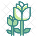 پیش‌نمایش فایل tulip-flower-3528684 از پک فصل بهار