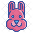 پیش‌نمایش فایل rabbit-3528588 از پک فصل بهار