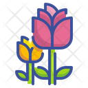 پیش‌نمایش فایل tulip-flower-3528594 از پک فصل بهار