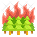 پیش‌نمایش فایل forest-fire-3689334 از پک تغییرات آب و هوایی