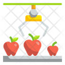 پیش‌نمایش فایل grading-apple-3693187 از پک فناوری غذا