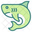 پیش‌نمایش فایل shark-fish-animal-predator-aquatic-4311010 از پک روز اقیانوس های جهان