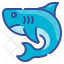 پیش‌نمایش فایل shark-fish-animal-predator-aquatic-4310933 از پک روز اقیانوس های جهان