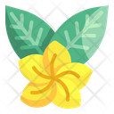 پیش‌نمایش فایل flower-4310470 از پک استوایی