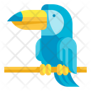 پیش‌نمایش فایل toucan-4310483 از پک استوایی