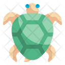 پیش‌نمایش فایل turtle-4310487 از پک استوایی