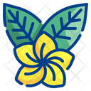 پیش‌نمایش فایل flower-4310439 از پک استوایی