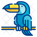 پیش‌نمایش فایل toucan-4310452 از پک استوایی