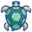 پیش‌نمایش فایل turtle-4310456 از پک استوایی