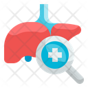 پیش‌نمایش فایل liver-4309538 از پک چکاپ سلامت