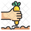 پیش‌نمایش فایل carrot-harvest-4345704 از پک کشاورزی و زراعت