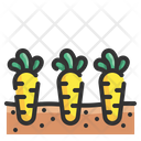 پیش‌نمایش فایل carrots-4345691 از پک کشاورزی و زراعت