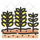 پیش‌نمایش فایل wheat-4345716 از پک کشاورزی و زراعت