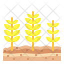 پیش‌نمایش فایل wheat-4345745 از پک کشاورزی و زراعت