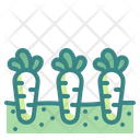 پیش‌نمایش فایل carrots-4345808 از پک کشاورزی و زراعت