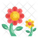 پیش‌نمایش فایل flower-4354202 از پک طبیعت