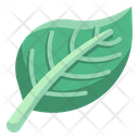 پیش‌نمایش فایل leaf-4354206 از پک طبیعت