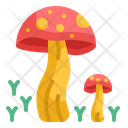 پیش‌نمایش فایل mushroom-4354210 از پک طبیعت