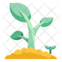 پیش‌نمایش فایل sprout-4354216 از پک طبیعت