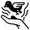 پیش‌نمایش فایل freedom-4363241 از پک روز زن