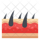 پیش‌نمایش فایل skin-hair-4373568 از پک حساسیت ها