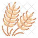 پیش‌نمایش فایل wheat-4373574 از پک حساسیت ها