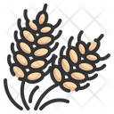 پیش‌نمایش فایل wheat-4373546 از پک حساسیت ها