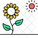 پیش‌نمایش فایل full-light-plant-7932049 از پک باغبانی شهری