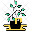پیش‌نمایش فایل overwatering-7932058 از پک باغبانی شهری