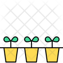 پیش‌نمایش فایل seeding-7932066 از پک باغبانی شهری