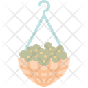 پیش‌نمایش فایل hanging-plant-7932088 از پک باغبانی شهری